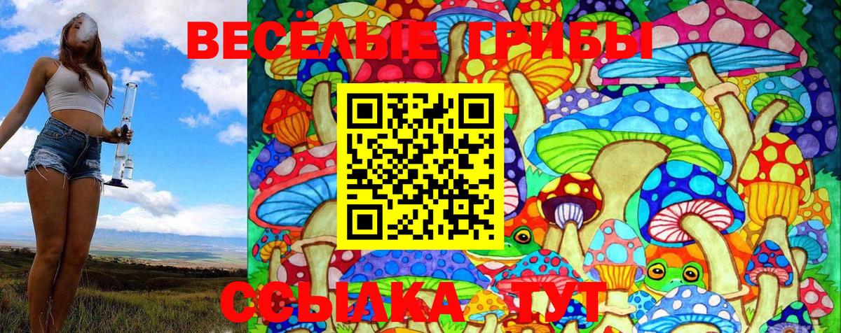 Псилоцибиновые грибы GOLDEN TEACHER Топки