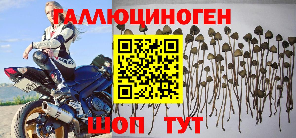 Псилоцибиновые грибы MAGIC MUSHROOMS  Вход с VPN  Топки 